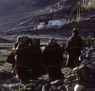 106-ladakh-zanskar-106