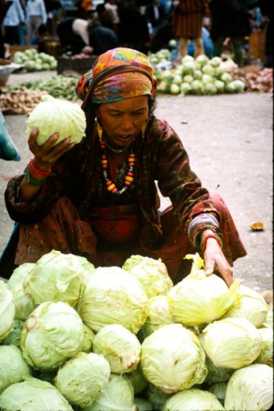 diapo-bouthan-066