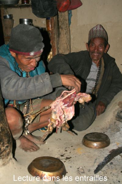 nepal-050
