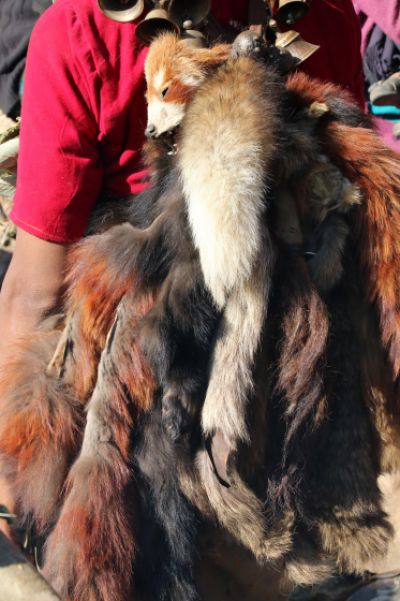 nepal-098